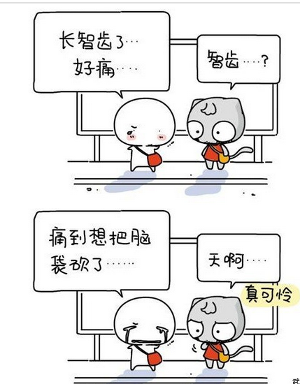 ���ݰ�һ�w���X�����X