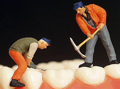 ���ݷNֲ��ֲ������Щ��Ҫ�Ĳ��E